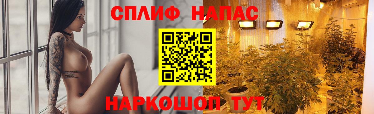 Бошки Шишки MAZAR Полысаево